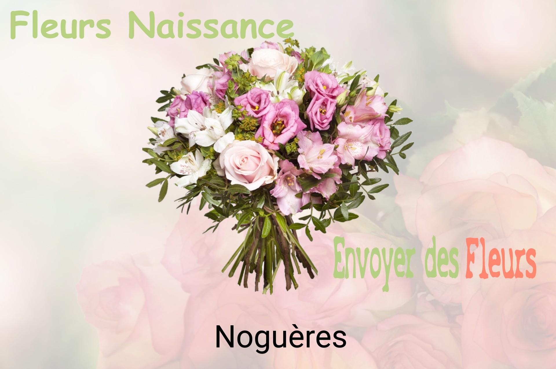 Bouquet de fleurs de naissance livré à Noguères